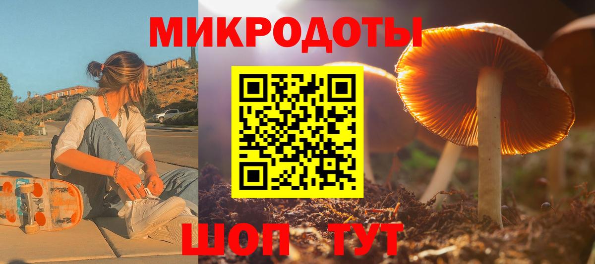 Псилоцибиновые грибы Psilocybe Рыбинск